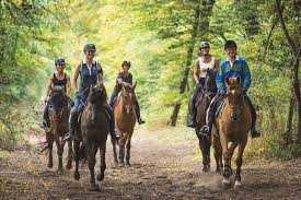 Image de CPE0202_C_CAV_Circuit_equestre_le_Beaulne