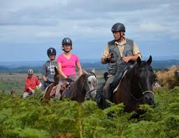 Image de Boucle équestre Picardie verte (Randonnée Equestre)