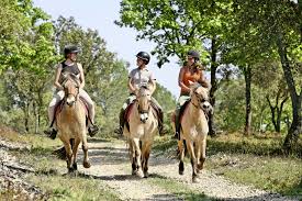 Image de Hornoy le Bourg vers Fontaine le Sec
