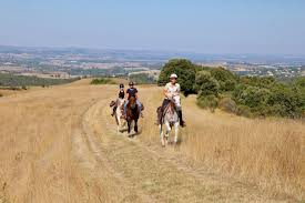 Image de A cheval en compagnie de Rousseau
