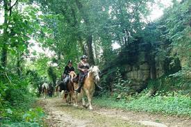 Image de Le bois du Quesnoy