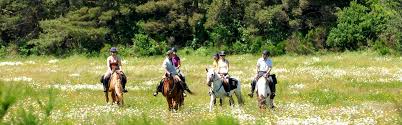Image de Chantilly - Avilly 001