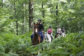 Image de Beauchamps à Lanchères cavaliers